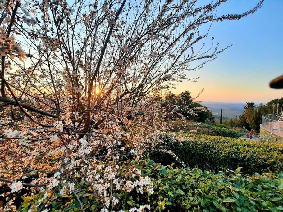 Villa Tutti I Colori Del Chianti Linari Экстерьер фото